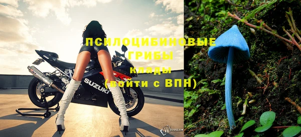 кокаин Новодвинск