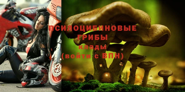 гидра Нязепетровск