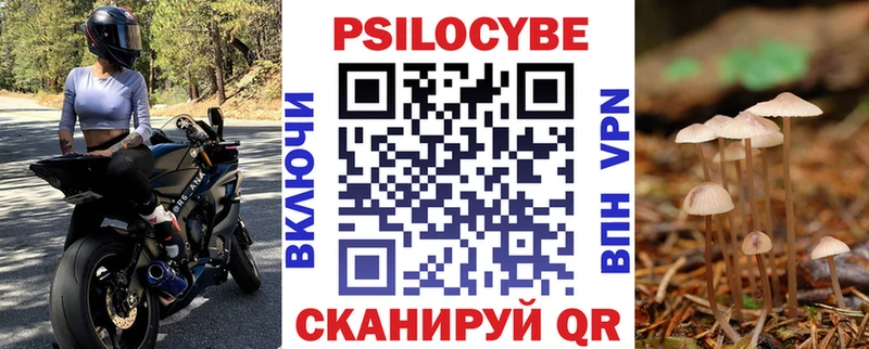 Псилоцибиновые грибы Cubensis  Петров Вал 